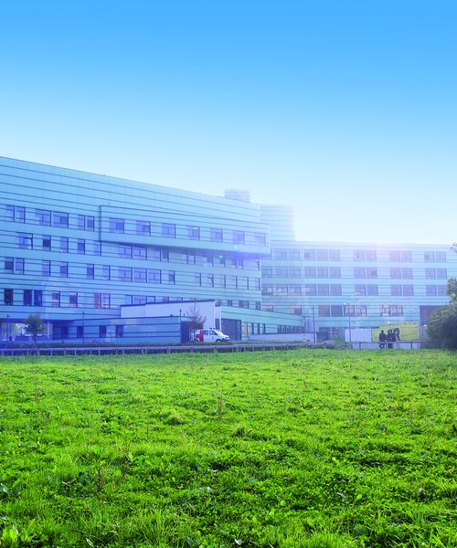 LKH Begrenz State Hospital